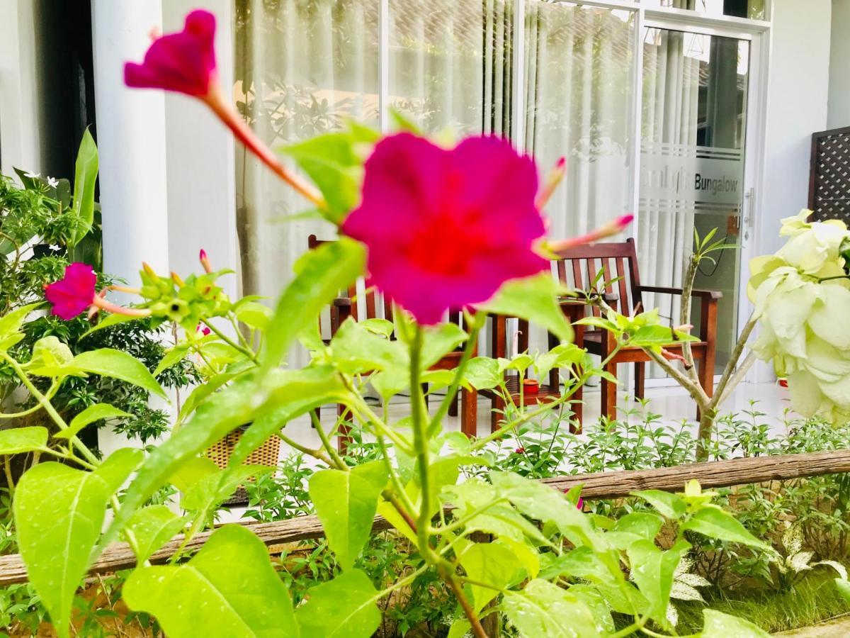 Sunlight Bungalow Phu Quoc Luaran gambar