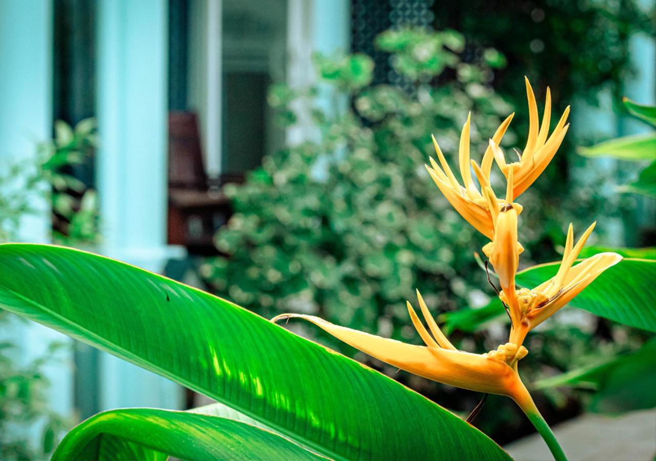 Sunlight Bungalow Phu Quoc Luaran gambar